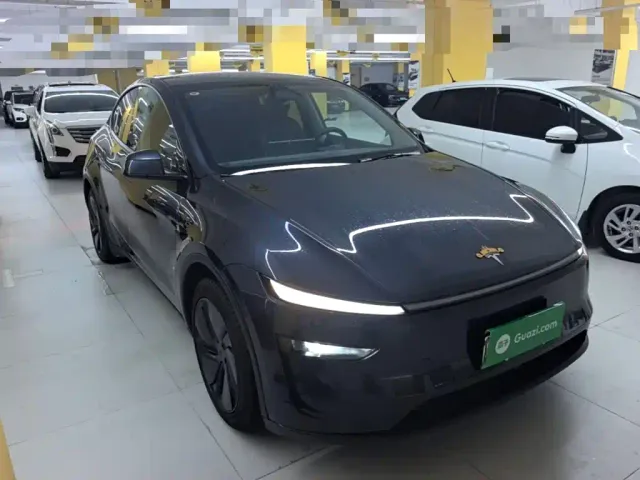 Tesla Model Y — Фото автомобиля 3