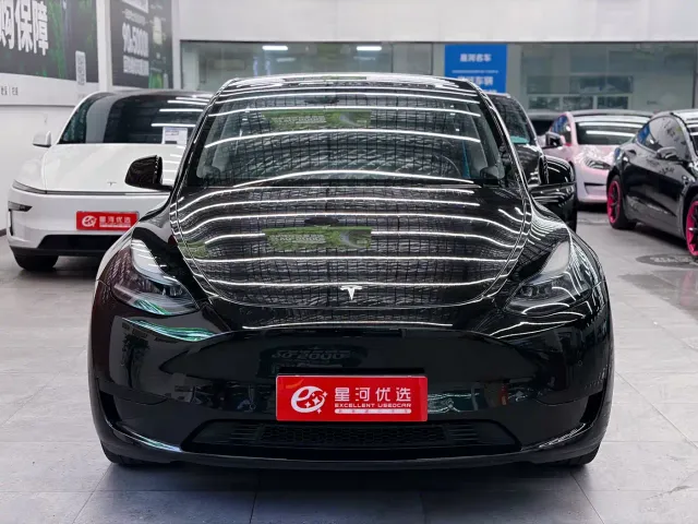 Tesla Model Y — Фото автомобиля 2