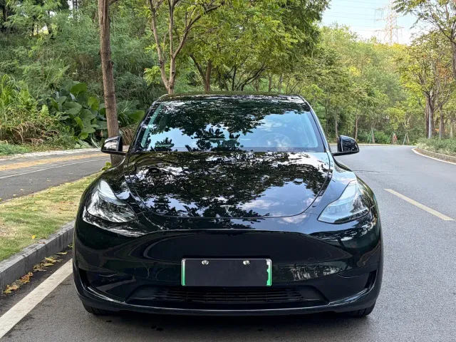 Tesla Model Y — Фото автомобиля 2