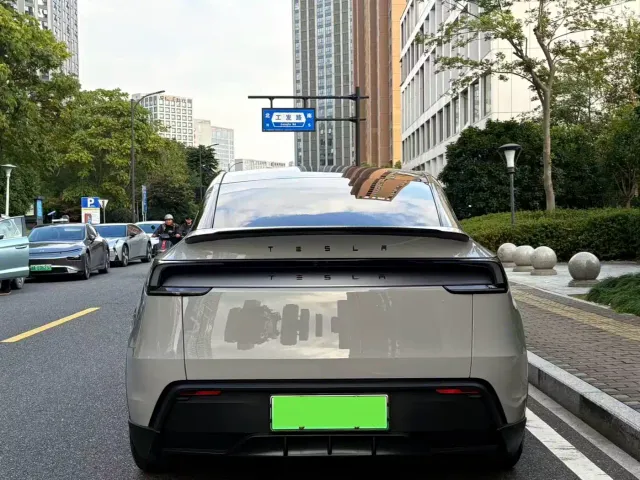 Tesla Model Y — Фото автомобиля 10