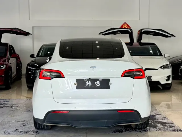 Tesla Model Y — Фото автомобиля 14