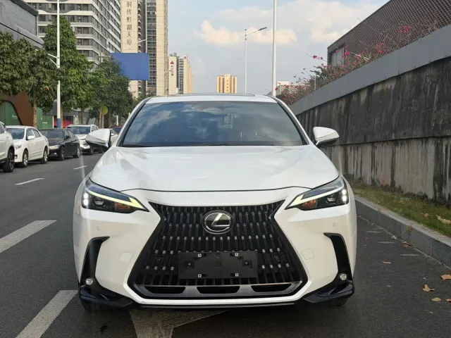 Lexus NX — Фото автомобиля 2