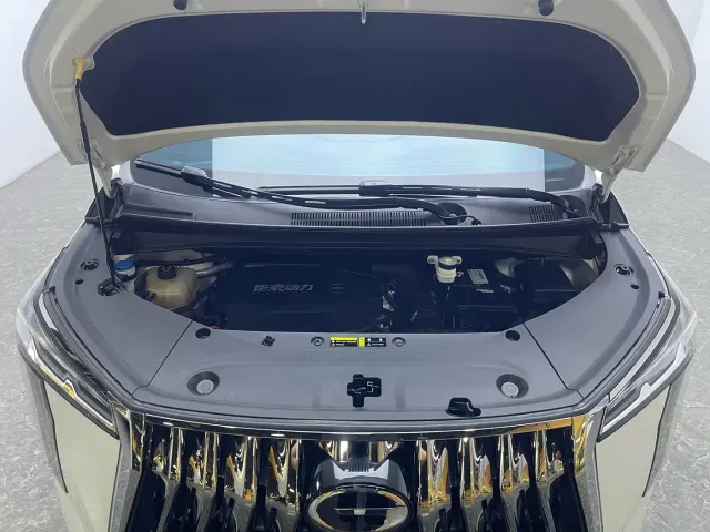 GAC Trumpchi M8 — Фото автомобиля 19