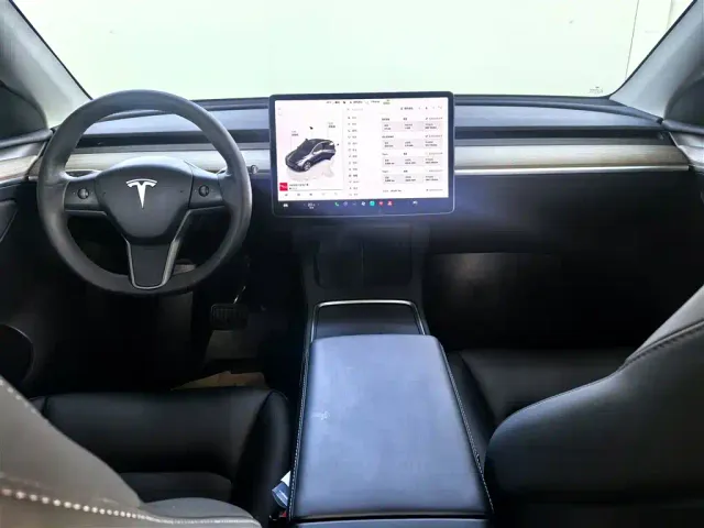 Tesla Model Y — Фото автомобиля 12