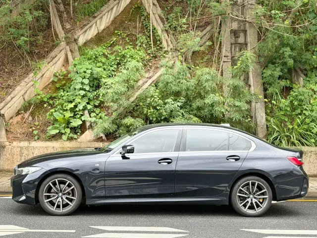 BMW 3 Series — Фото автомобиля 10