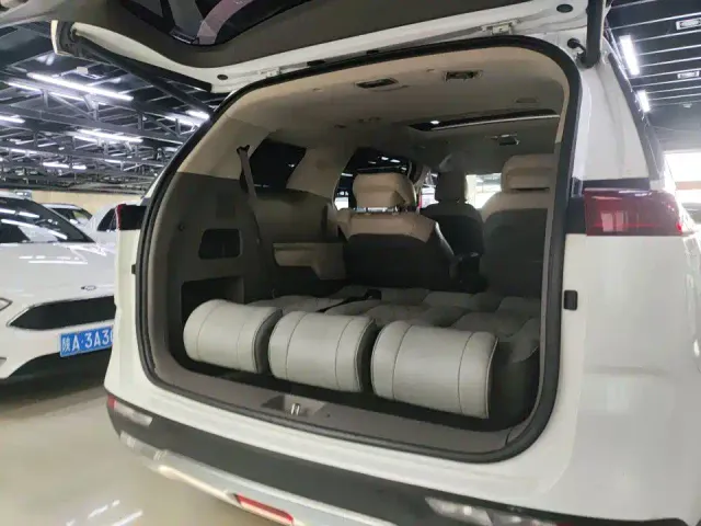 Kia Carnival — Фото автомобиля 6