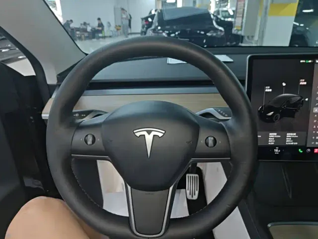 Tesla Model Y — Фото автомобиля 10
