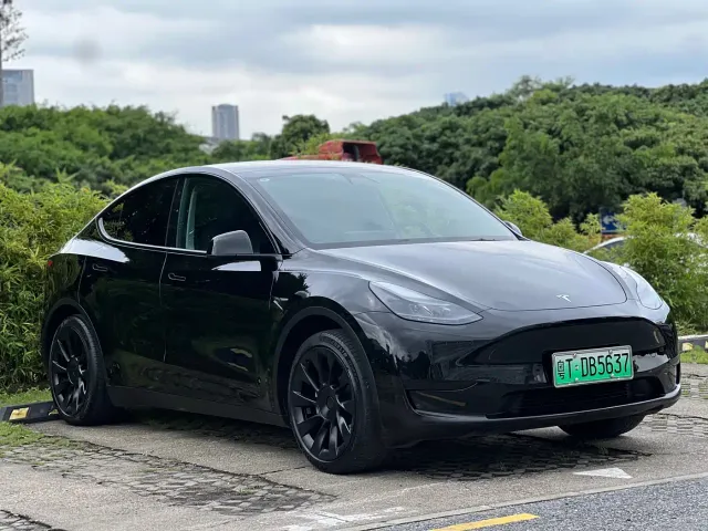 Tesla Model Y — Фото автомобиля 3