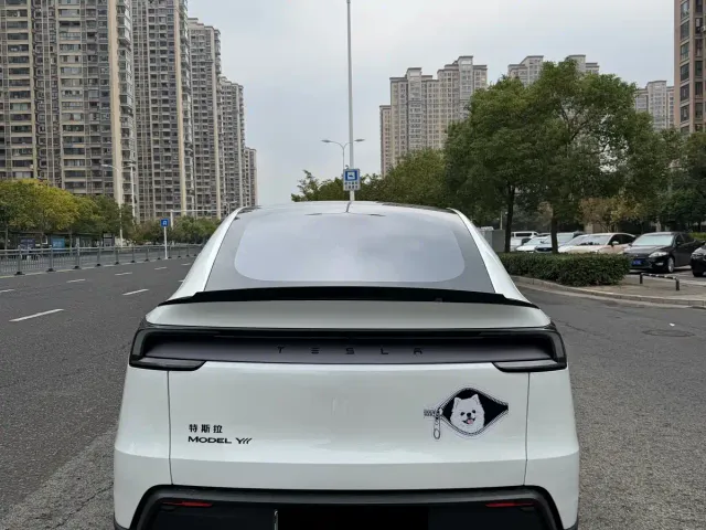 Tesla Model Y L — Фото автомобиля 8