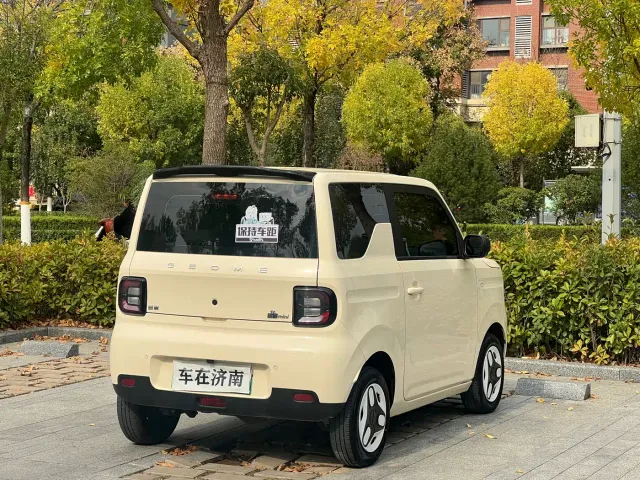 Geely Panda — Фото автомобиля 6