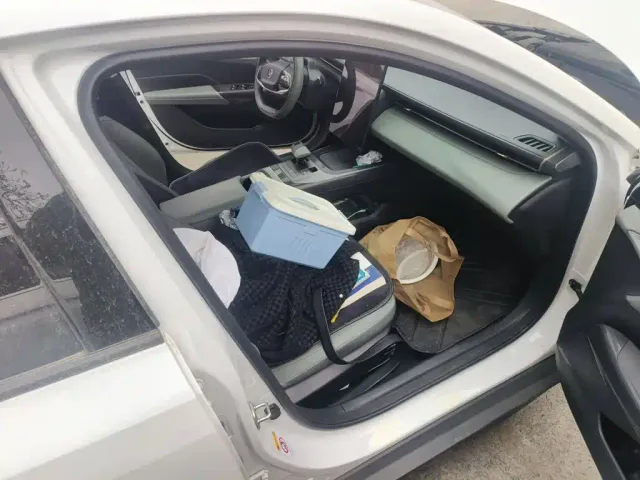 Changan Lamore — Фото автомобиля 19
