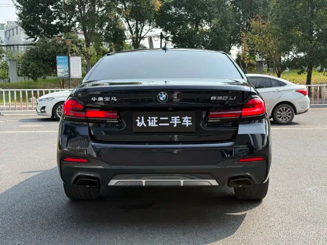 BMW 5 Series — Фото автомобиля 6