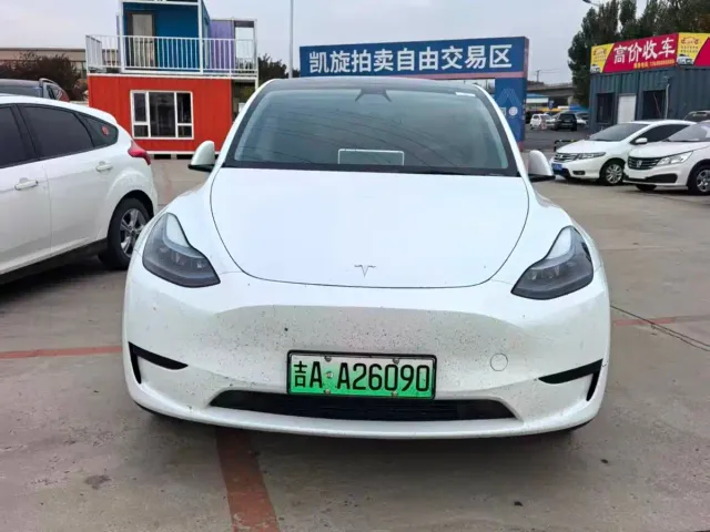 Tesla Model Y — Фото автомобиля 2