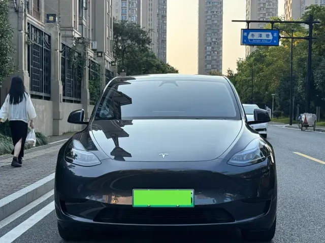 Tesla Model Y — Фото автомобиля 2