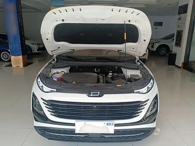 Bestune T90 — Фото автомобиля 19