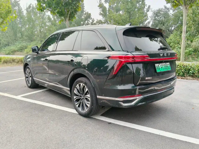WEY Wey Lanshan 2023 2WD Long Range Edition — Фото автомобиля 14