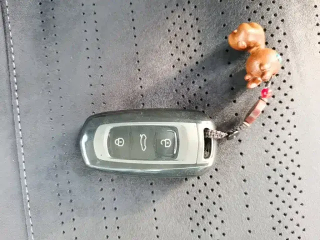 Geely Panda — Фото автомобиля 8