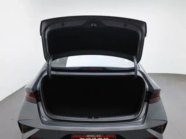 Hyundai Fista — Фото автомобиля 16