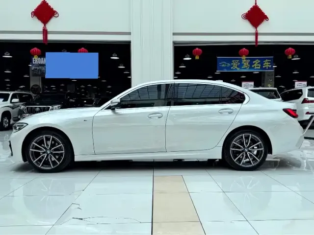 BMW 3 Series — Фото автомобиля 6