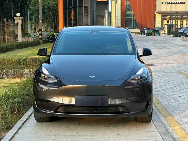 Tesla Model Y — Фото автомобиля 2