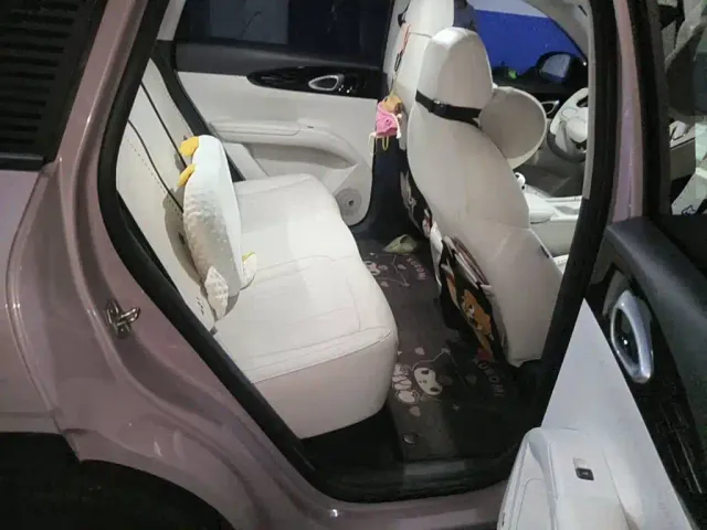 Geely Starry Wish — Фото автомобиля 11