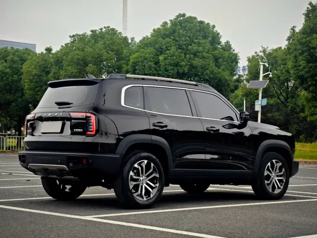 Haval Haval Big Dog 2021 1.5T DCT 2WD Border Collie Edition — Фото автомобиля 7