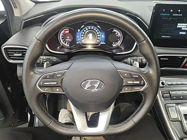 Hyundai Santa Fe — Фото автомобиля 10