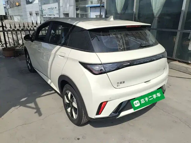BYD Dolphin — Фото автомобиля 4