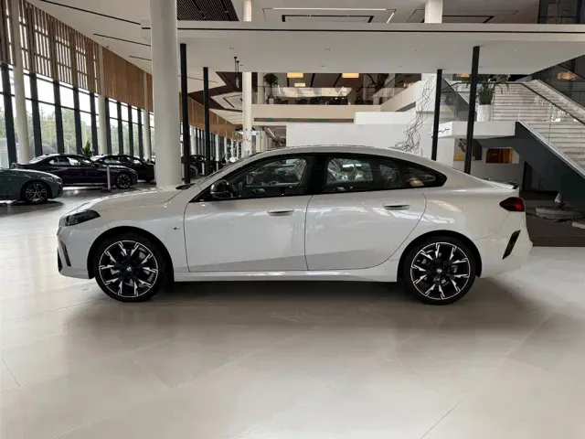 BMW 2 Series — Фото автомобиля 14