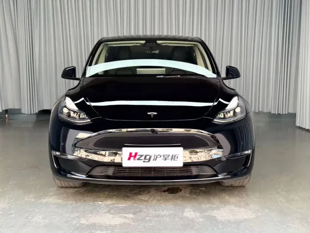 Tesla Model Y — Фото автомобиля 3