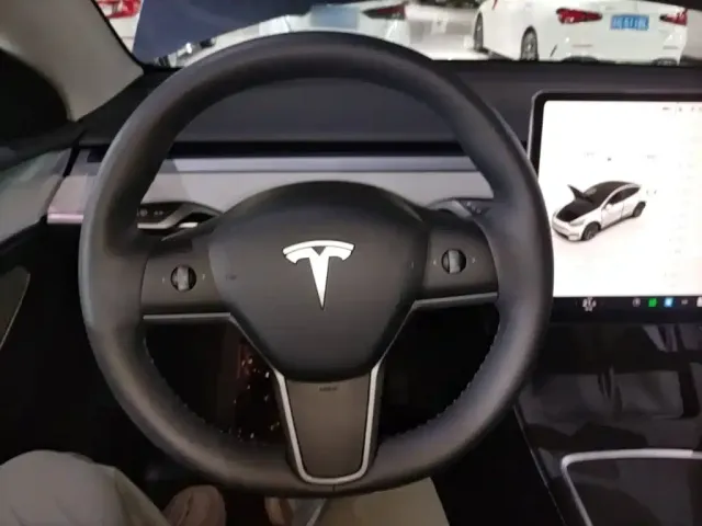 Tesla Model Y — Фото автомобиля 10