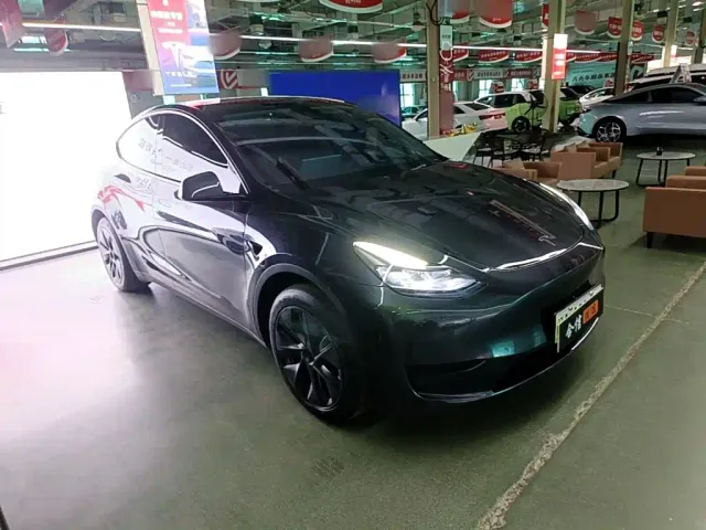 Tesla Model Y — Фото автомобиля 3