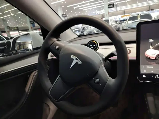 Tesla Model Y — Фото автомобиля 10