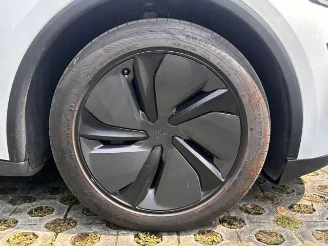 Tesla Model Y — Фото автомобиля 22