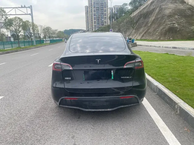 Tesla Model Y — Фото автомобиля 8