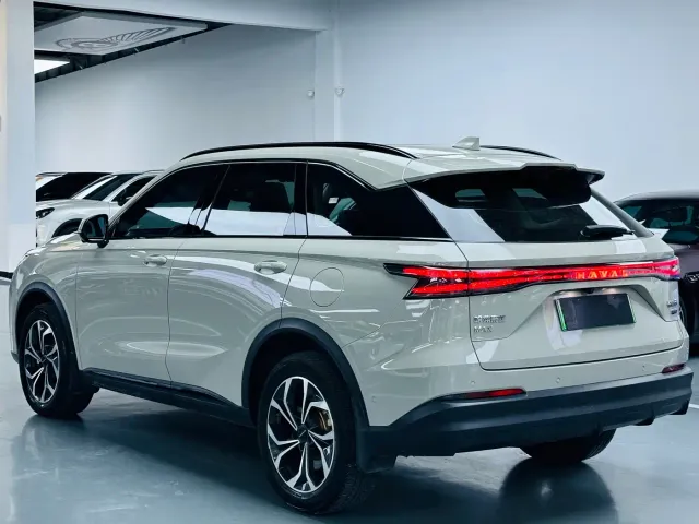 Haval Xiaolong MAX — Фото автомобиля 13