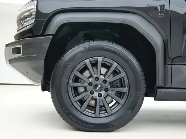 BYD FangChengBao Leopard 5 — Фото автомобиля 15