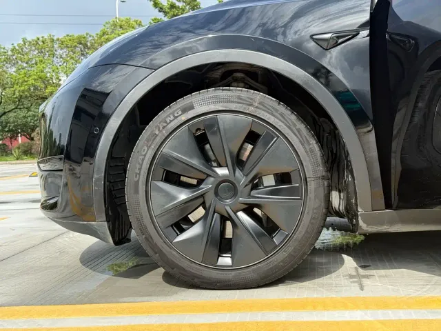 Tesla Model Y — Фото автомобиля 10