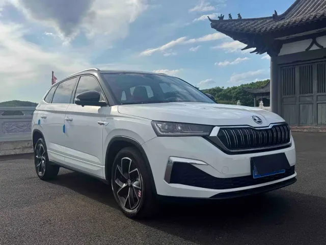 Skoda Kamiq — Фото автомобиля 3