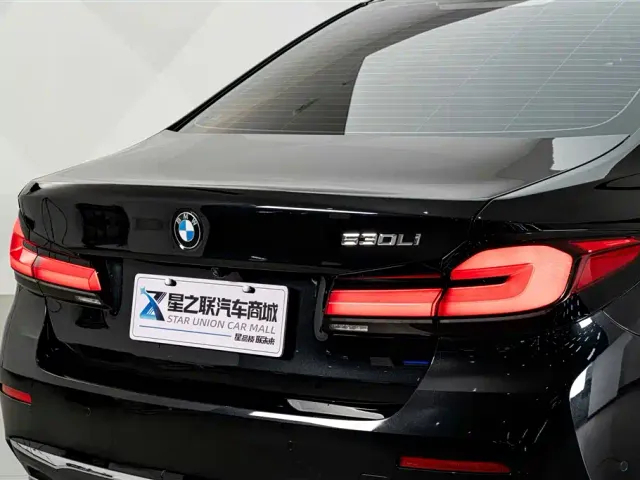 BMW 5 Series — Фото автомобиля 8