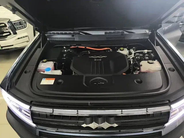 BYD FangChengBao Leopard 5 — Фото автомобиля 19