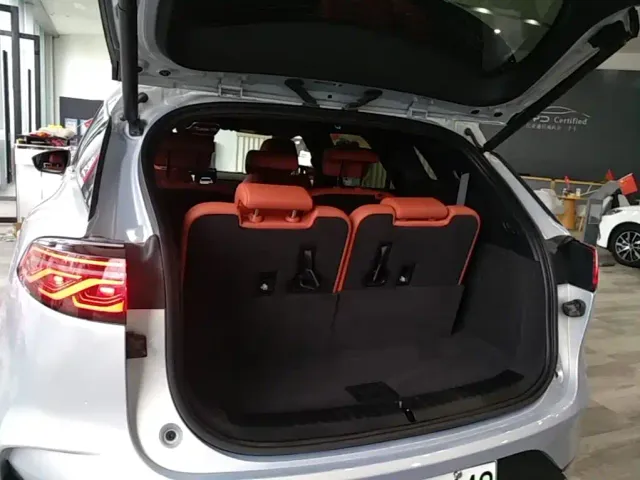 BYD Tang New Energy 2026 Smart Drive Edition DM-i 160KM Premium — Фото автомобиля 18