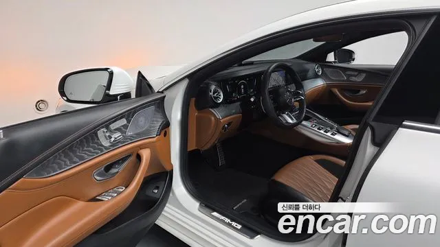Mercedes-Benz AMG GT X290 (2018–2026) — Фото автомобиля 14