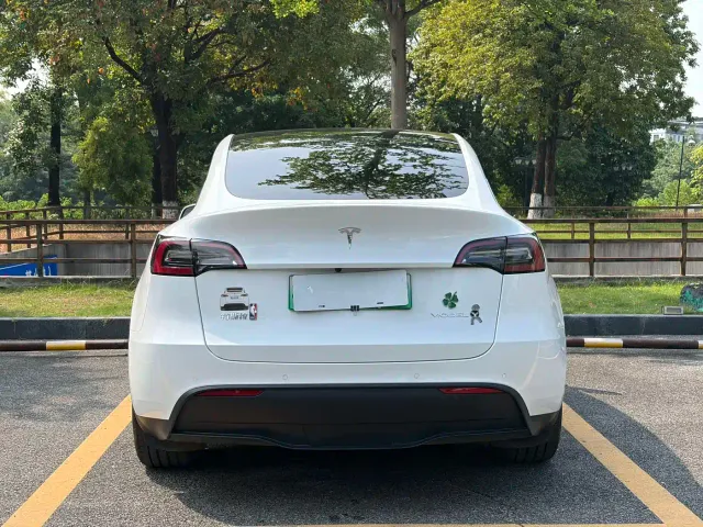Tesla Model Y — Фото автомобиля 5