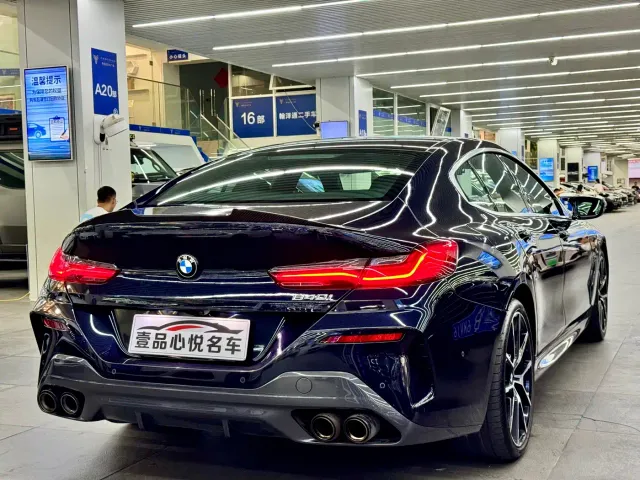 BMW 8 Series — Фото автомобиля 10
