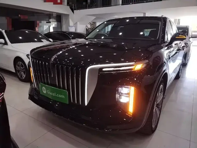Hongqi E-HS9 — Фото автомобиля 2