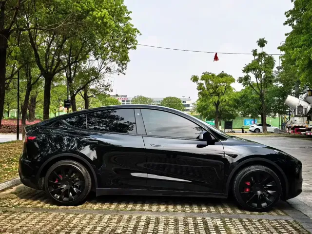 Tesla Model Y 2021 Standard Range Rear-Wheel Drive — Фото автомобиля 3