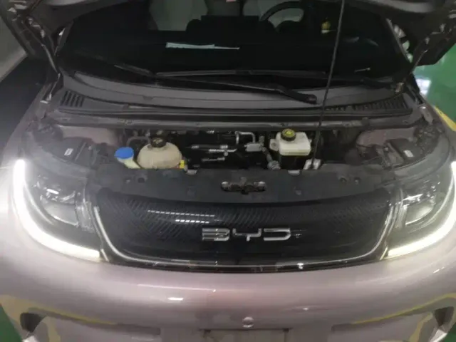 BYD Dolphin — Фото автомобиля 19