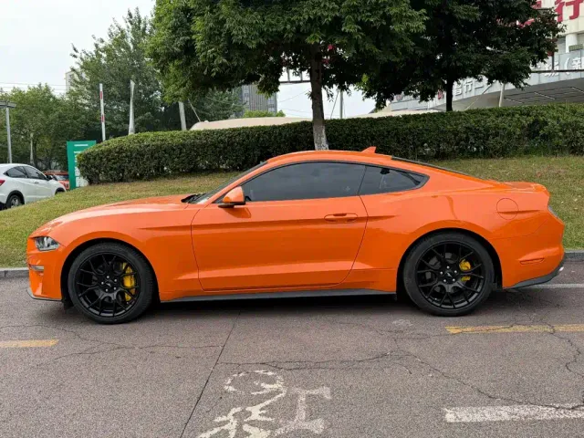 Ford Mustang — Фото автомобиля 3