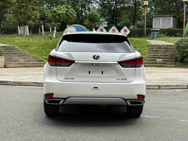 Lexus RX — Фото автомобиля 15